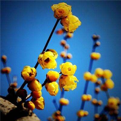 黄冈房地产网截图